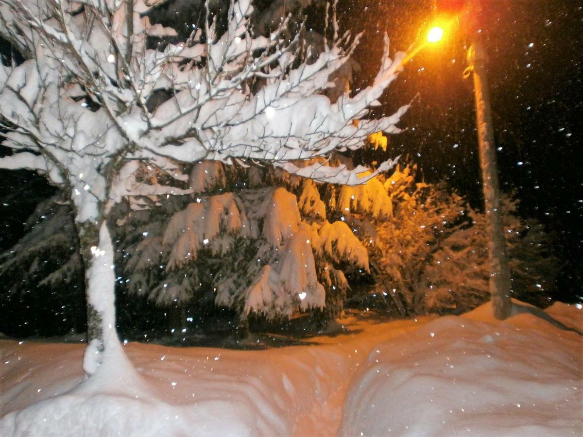 Holiday Home Coprnicka Hisa Skrad Dış mekan fotoğraf
